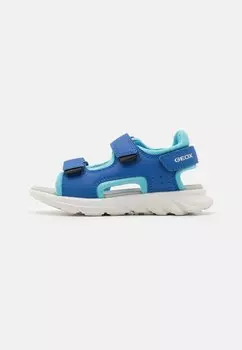 Трекинговые сандалии AIRADYUM Geox, цвет royal/light blue