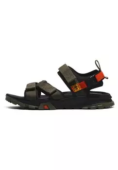 Трекинговые сандалии GARRISON TRAIL WEBBING Timberland, цвет grape leaf