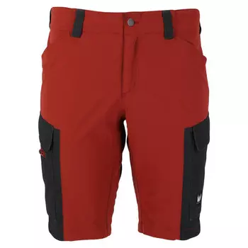 Трекинговые шорты WHISTLER ROMMY, цвет braun