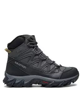 Треккинговые кроссовки Breccia 2 Gore-Tex L41255800 Salomon, серый