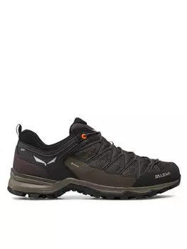 Треккинговые кроссовки Ms Mrn Trainer Lite Gtx GORE-TEX 61361-7512 Salewa, коричневый
