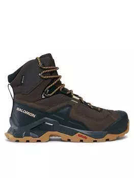 Треккинговые кроссовки Quest Element GORE-TEX L47216100 Salomon, коричневый