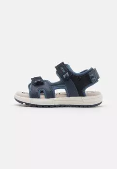 Треккинговые сандалии SANDAL ALBEN BOY Geox, цвет navy/avio