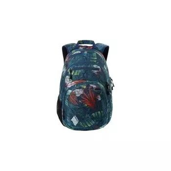 Треккинговый рюкзак Nitro Snowboards, разноцветный