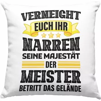 Тренд - магистерский экзамен пройден Подарок магистерский экзамен Декоративная подушка с наполнителем 40x40 Мужчина Металлист Плотник Кровельщик Художник Электротехника Электроника (синий) Trendation