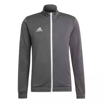 Тренировочная куртка Adidas Entrada 22, антрацит
