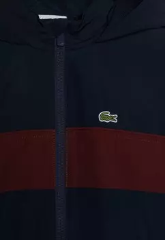 Тренировочная куртка BLOUSON COLOR BLOCK UNISEX Lacoste, темно-коричневый