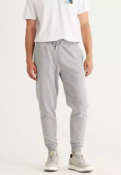 Тренировочные брюки AC&CO / ALTINYILDIZ CLASSICS, серый