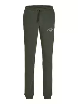 Тренировочные брюки для юниоров Jack & Jones "JPST GORDON J FERRIS SEATPANTS IN JNR" Jack & Jones Junior, зеленый
