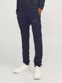 Тренировочные брюки для юниоров Jack & Jones "JPST GORDON J FERRIS SEATPANTS IN JNR" Jack & Jones Junior, синий