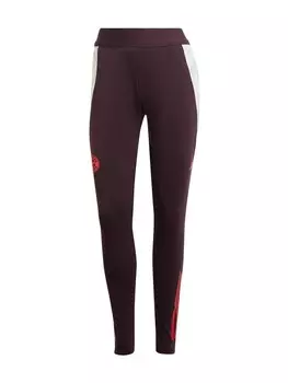 Тренировочные брюки FC BAYERN MNCHEN Regular Workout Pants, бордо
