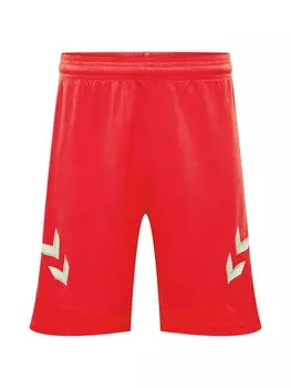 Тренировочные брюки Hummel LEAD POLY, красный