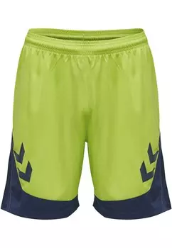Тренировочные брюки Hummel LEAD POLY, светло-зеленый