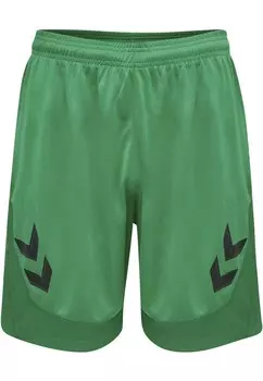 Тренировочные брюки Hummel LEAD, зеленый