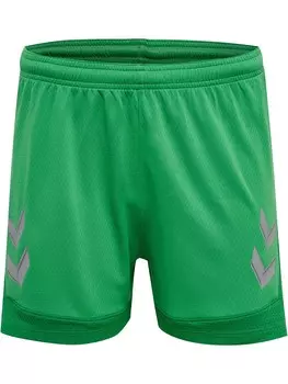 Тренировочные брюки Hummel LEAD, зеленый