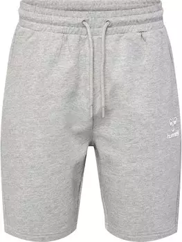 Тренировочные брюки Hummel, серый