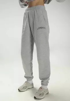Тренировочные брюки LA MANIA, серый