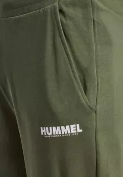 Тренировочные брюки LEGACY Hummel, зеленый