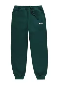 Тренировочные брюки PROSTO, зеленый