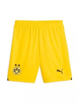 Тренировочные брюки Puma BORUSSIA DORTMUND, желтый
