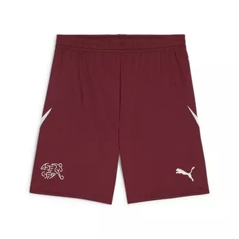 Тренировочные брюки Puma SCHWEIZ, красный