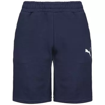 Тренировочные брюки Puma TEAM GOAL 23, темно-синий