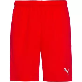 Тренировочные брюки Puma TEAMRISE, красный