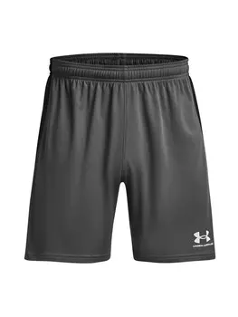 Тренировочные брюки Under Armour CHALLENGER, темно-серый