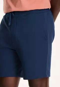 Тренировочный низ STEVE Shiwi, синий