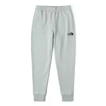 Трикотажные спортивные штаны GS The North Face