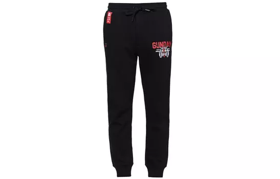 Трикотажные спортивные штаны мужские черные Evisu, черный
