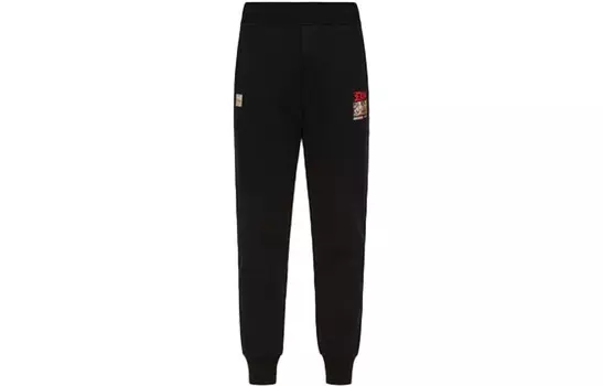 Трикотажные спортивные штаны мужские черные Evisu, черный