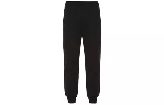 Трикотажные спортивные штаны мужские черные Evisu, черный