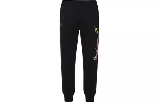 Трикотажные спортивные штаны мужские черные Evisu, черный