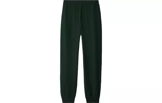 Трикотажные спортивные штаны мужские, цвет зеленый виноград Burberry, зеленый