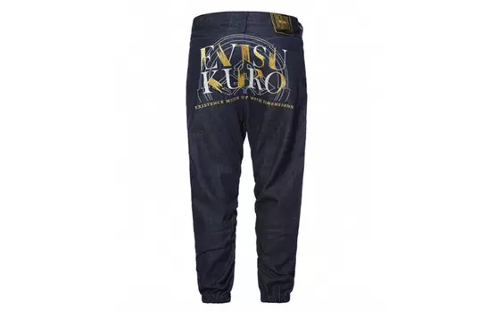 Трикотажные спортивные штаны мужские Evisu