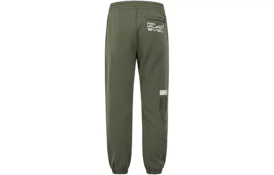 Трикотажные спортивные штаны мужские Evisu, серый