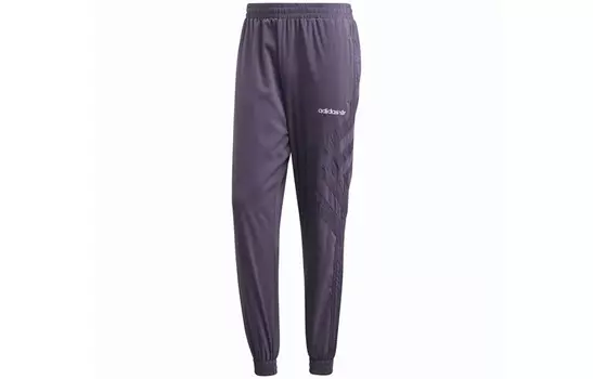 Трикотажные спортивные штаны мужские фиолетовые Adidas Originals, фиолетовый