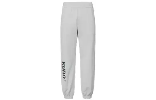 Трикотажные спортивные штаны мужские Ice Gray Evisu, серый
