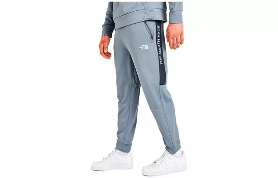 Трикотажные спортивные штаны мужские серые The North Face, серый