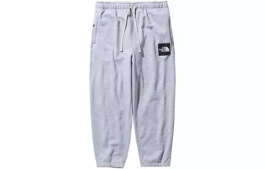 Трикотажные спортивные штаны мужские серые The North Face, серый