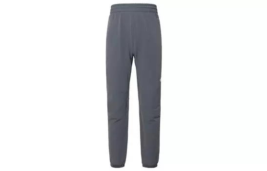 Трикотажные спортивные штаны мужские серые The North Face, серый