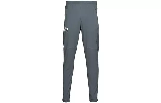Трикотажные спортивные штаны мужские серые Under Armour, серый