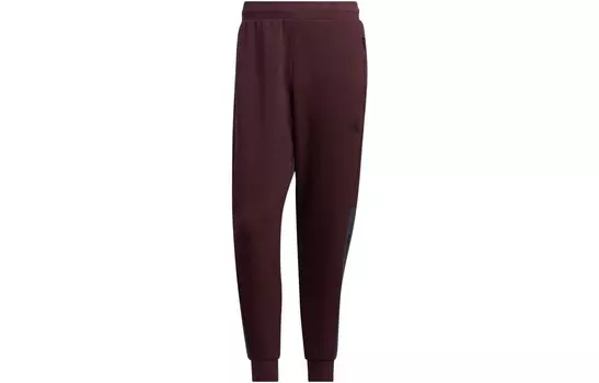 Трикотажные спортивные штаны мужские темно-фиолетовые Adidas, темно-фиолетовый