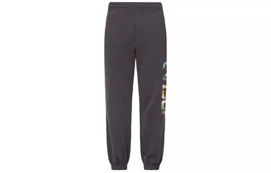 Трикотажные спортивные штаны мужские темно-серые Evisu, темно-серый