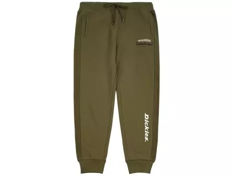 Трикотажные спортивные штаны мужские зеленые Dickies, зеленый
