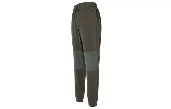 Трикотажные спортивные штаны мужские зеленые The North Face, зеленый