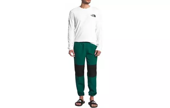 Трикотажные спортивные штаны мужские зеленые The North Face, зеленый