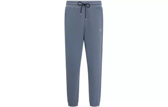 Трикотажные спортивные штаны унисекс Reebok, цвет Blue/Gray