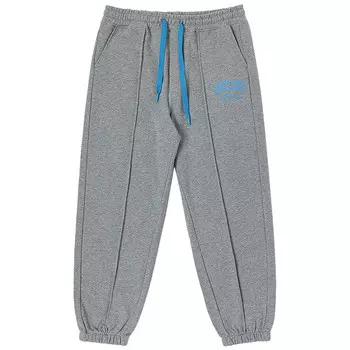 Трикотажные спортивные штаны унисекс серые Dickies, серый